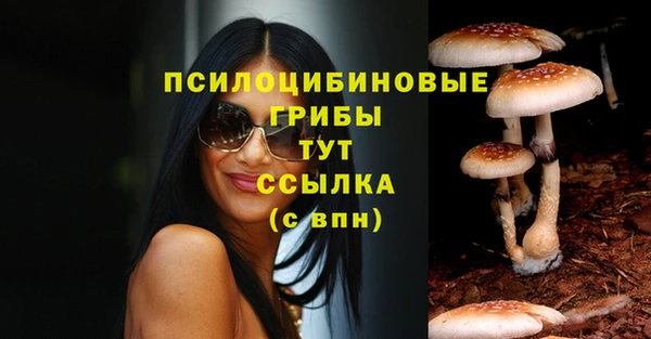 спайс Волоколамск