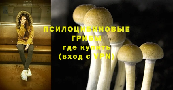 молекула духа Володарск