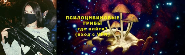 молекула духа Володарск