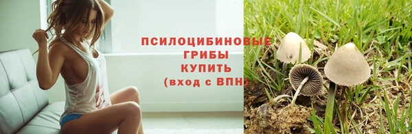 молекула духа Володарск
