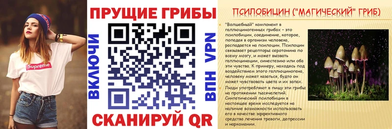где найти   Ноябрьск  ссылка на мегу зеркало  нарко площадка официальный сайт  Галлюциногенные грибы GOLDEN TEACHER 