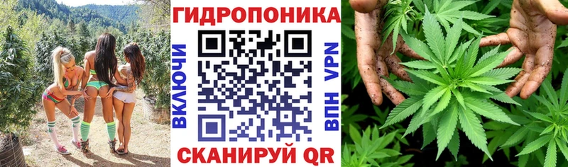 Шишки марихуана MAZAR  гидра ONION  Ноябрьск 